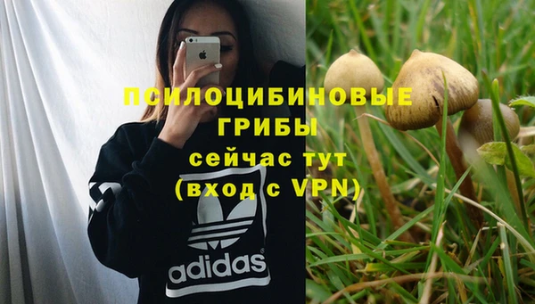 ешки Аркадак