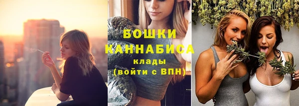 ешки Аркадак