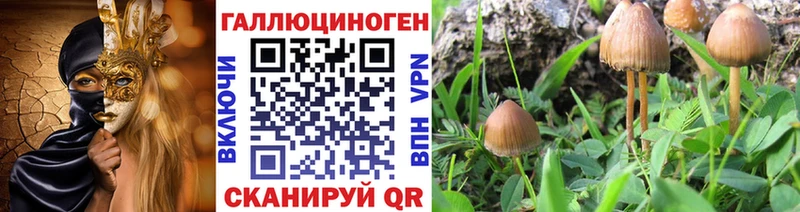 Псилоцибиновые грибы MAGIC MUSHROOMS  Купить закладки  Николаевск 